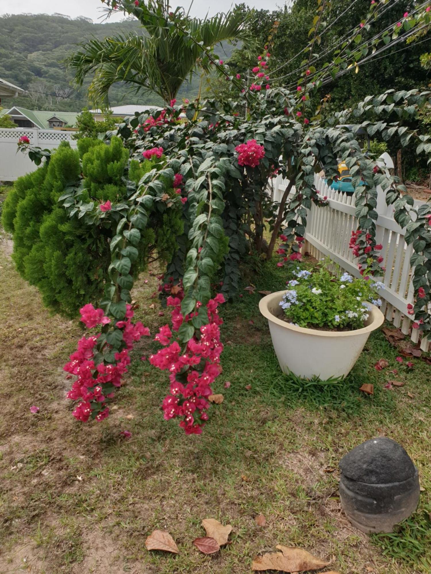 Villa Authentique La Digue Εξωτερικό φωτογραφία