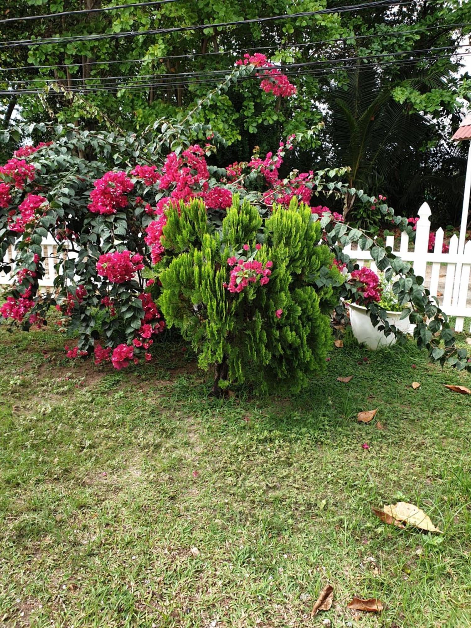 Villa Authentique La Digue Εξωτερικό φωτογραφία